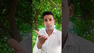 Amir banne ka sabse aasan tarika #comedy #funny #ytshorts #short#pavan sharma