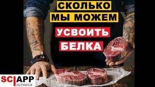 Сколько Белка Можно Усвоить За Один Прием Пищи? | Джефф Кавальер