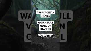 HAUNTED APPALACHIAN TRAILS #horrorstories #appalachiantrail #appalachiantrail2024 #haunted #ghost