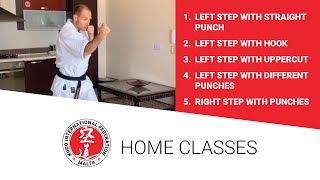 Kudo Home Class 7 - Punches with Steps by one leg