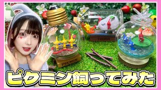 まるで本物！？ピクミンフィギュアのクオリティに感動が止まらない🥕✨【ピクミン4/ PIKMIN4】【たまちゃん】