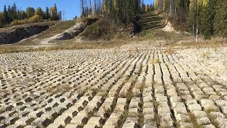 Кто был Мошенник и кто жил в  Монастырях, в чём выражалась Немощь