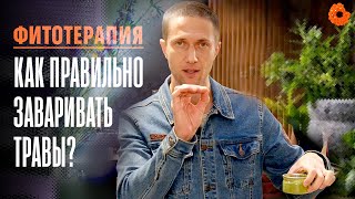 Фитотерапия: как правильно заваривать травы?