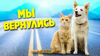 Линда и рыжий котик возвращаются обратно. Сейчас все расскажу / SANI vlog