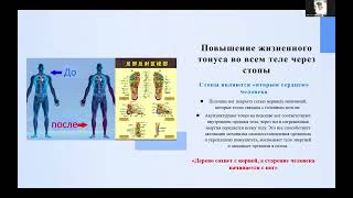 Вэнтун— прибор для оздоровления: баланс холода и жара для исцеления организма