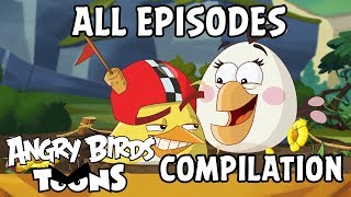 Angry Birds Toons Compilation | Season 2 All Episodes Compilation - Special Mashup