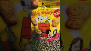 Japanese Cookies Peanuts #japanesefood #snacks #snoopy