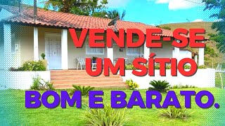 SÍTIO Á VENDA NA ESTRADA DA BATATINHA☎️🍐🥝🥭🍅🍍🌽🧄🧅🦁🦒VÍDEO 01🚨