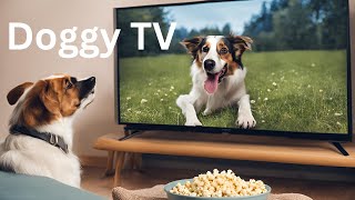 Daytime Television for your Dog.  TV for your dogs.  Dogs playing in the woods