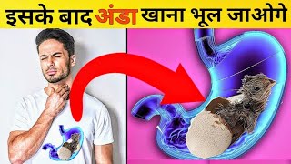 ये वीडियो देखने के बाद फिर कभी अंडे नहीं खाएंगे आप | how eggs are manufactured | Eggs | अंडा | vegan