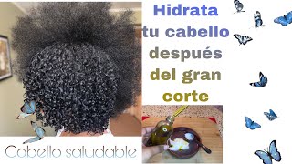 Hidrata el cabello después del gran corte|nutrición + Brillo 🥥🍯