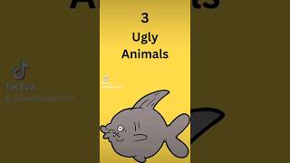 3 ugliest animals #facts #interesting #animals