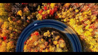 Fall Foliage Drone View - Alemaariye kannada song - Rathnan Prapancha [4K]