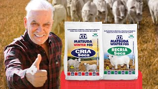 Siga o exemplo do Matogrosso! Aumente o desempenho do seu gado com os proteinados de seca Matsuda.