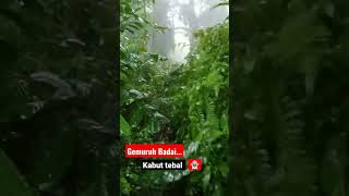 🔴petir menggelar....!! #shortvideo #asmr #shorts #bushcraft #hujan #badai