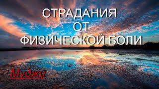 Страдания от физической боли [Муджи, озв.Никошо]