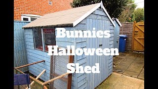 Rabbit Halloween Shed tour 2017