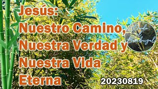 Jesús: Nuestro Camino, Nuestra Verdad y Nuestra Vida Eterna - 20230819