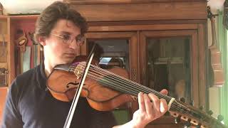 Bach Chaconne on 18th century Parisian Viola d'amore by Salomon