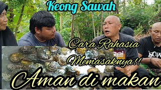 Keong Racun Aman di kosumsi!! Cara mengolah dan memasak biar aman di makan!!