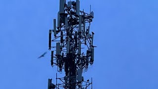 New Sprint to T-Mobile tower conversion for coverage.