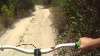 Hardtail downhill run!