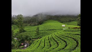 munnar | places to visit in munnar | best time to visit Munnar