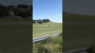 Small Airplane landing on runway #shorts #airplane #aircraft