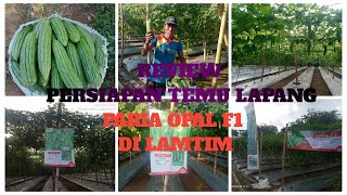 Persiapan TEMU LAPANG Paria OPAL F1 di Lampung Timur