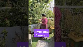 never steal flowers from others garden. #steal #chaganti #garden #pooja #ytshorts #telugu #gardening