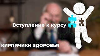 Вступление / Кирпичики здоровья