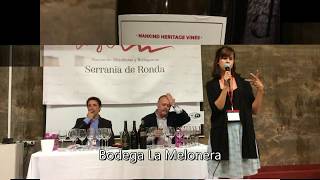 Cata Magistral Añada Histórica y otras Rarezas en Ronda Vino  Vino