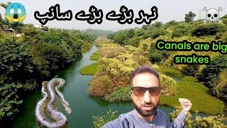 nar khofnak big big snake kashmiri