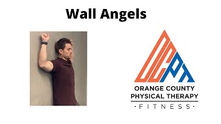 Wall Angels