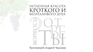 Нетленная красота кроткого и молчаливого духа  | Протоиерей Андрей Чернеев