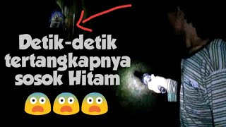 Tak Disangka - Sosok Hitam terlihat Jelas saat melakukan Perburuan Burung Puyuh