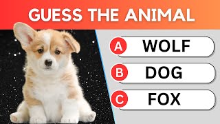 Guess the Animal 🐶🐮🙈 Ultimate Trivia Challenge!