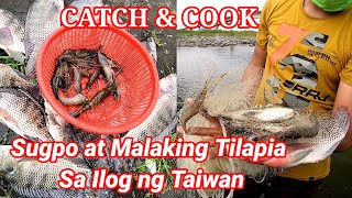 Napakayaman ng Sugpo ang Ilog ng Taiwan | Catch & Cook Native Prawns| 0fw life.