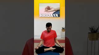 6 Hand Mudras For Meditation