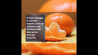 The first oranges weren’t orange #shorts #amazingfacts