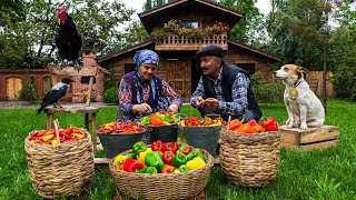 🌶️ Bell Pepper Harvest Making Country Style Bell Pepper Paste