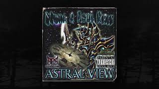 Foul Play   Astral View Album Promo Memphis 66 6 Exclusive