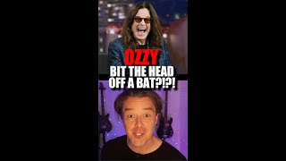 OZZY BITES BAT HEAD