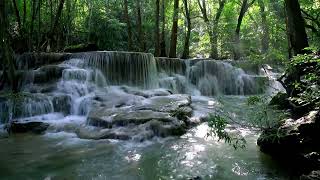 Sounds of Tropical Waterfall