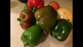 How to Store Bell Peppers (DIY Vacuum Seal) Quick & Easy