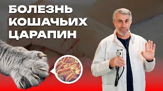 Болезнь кошачьих царапин