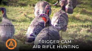 Epic Air Rifle Hunt with the Air Arms S510 Tactical - Trigger Cam Action!