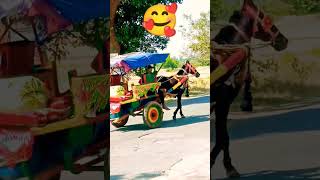 ଘୋଡ଼ା ଗଡ଼ି 🥰🔥 #horse cart 😱 #mrpitamvlog #plz sub...🙏