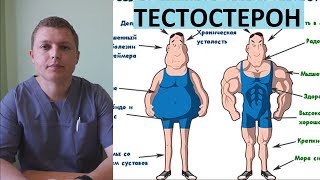 ТЕСТОСТЕРОН И ЦИНК | Testosterone and Zinc