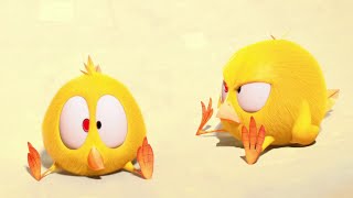 Где Чики? 🐥 Chicky НОВАЯ СЕРИЯ! | Чики-спорт | Сборник мультфильмов на русском языке